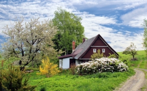 house-leveling