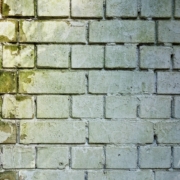 bricks foundation specialist