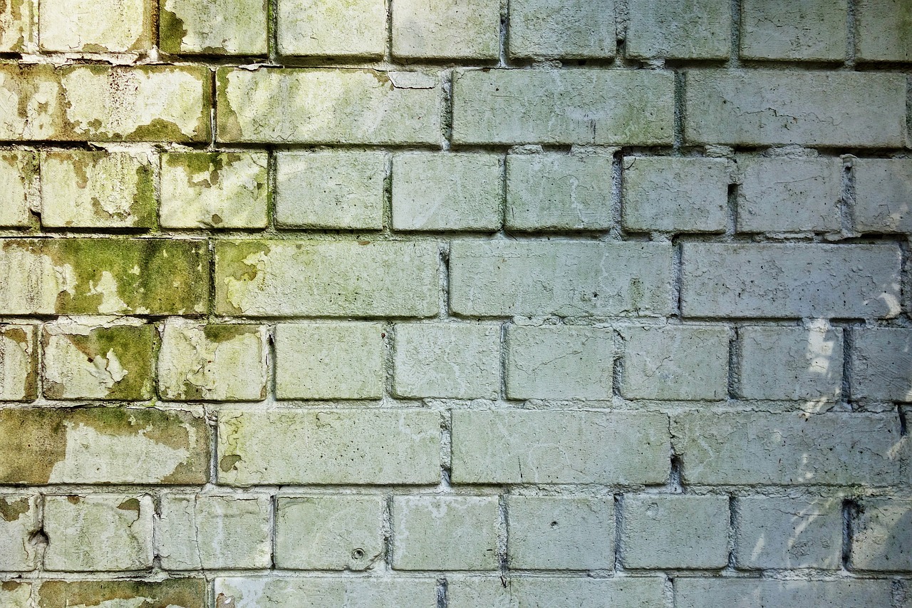 bricks foundation specialist