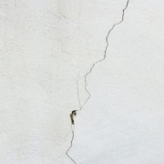 Vertical foundation crack on white painted basement wall showing typical hairline crack pattern